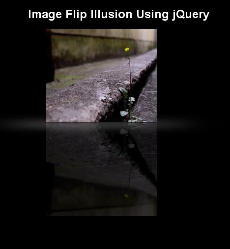 imageflip